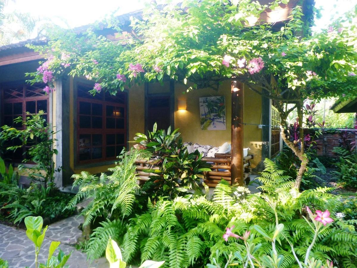 Saraswati Holiday House Ловина Экстерьер фото