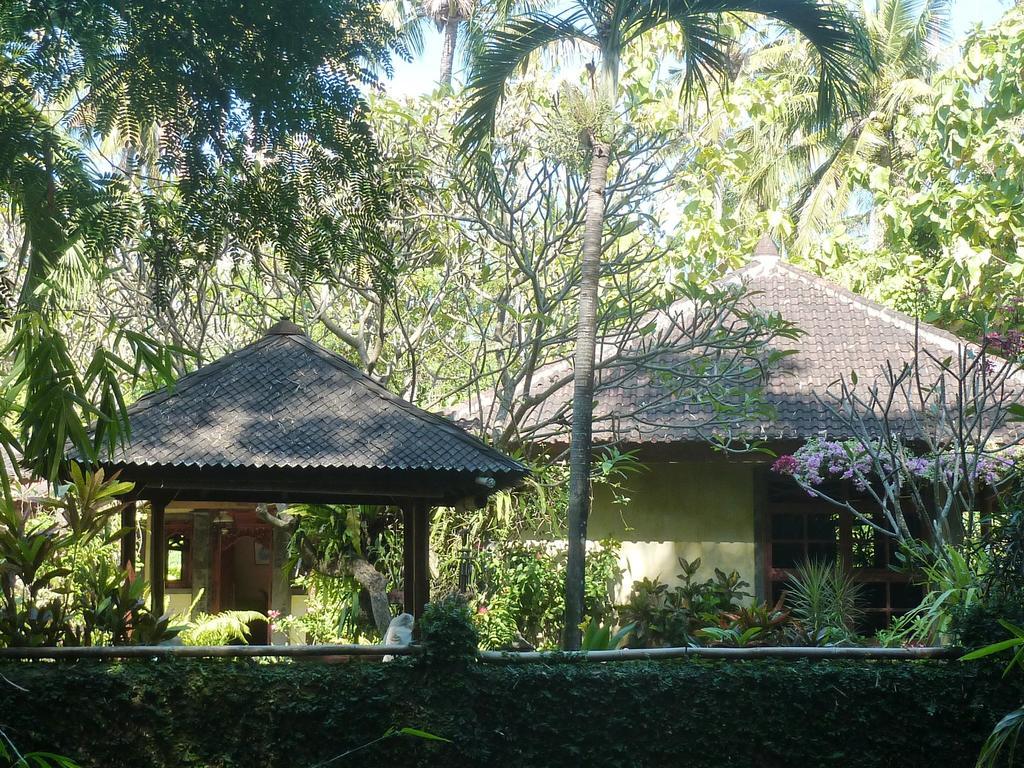 Saraswati Holiday House Ловина Экстерьер фото